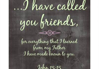 I have called you friends#