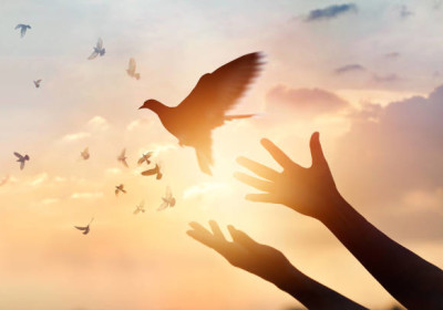 LIBERATION!