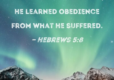 To Learn Obedience!