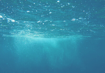 Submerged in the Spirit#