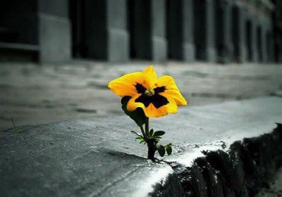The Hallmark of Christian Belief#