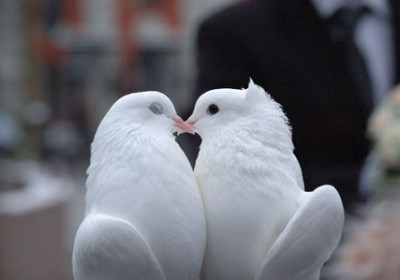 Kissing Peace