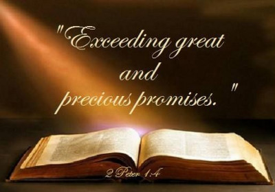 9 Precious Promises