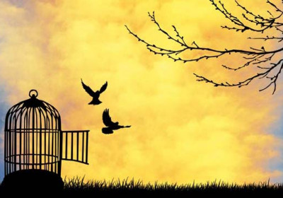 The Gift of Freedom