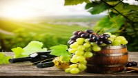 grapes-wine.jpg