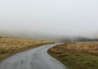 Stepping into the mist#